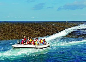 Montgomery Reef, Buccaneer Archipelago, Western Australia