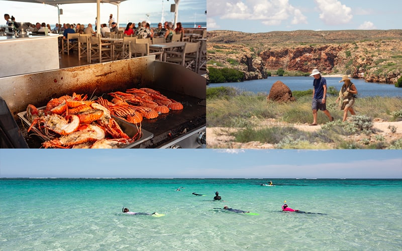 Exmouth and Ningaloo Reef Coral Expeditions