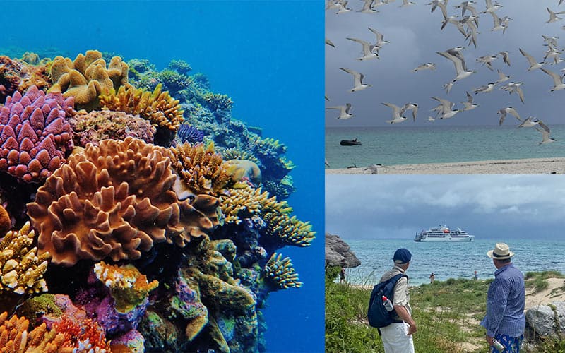 Stanley-Island-and-Davie-Cay-Coral-Expeditions