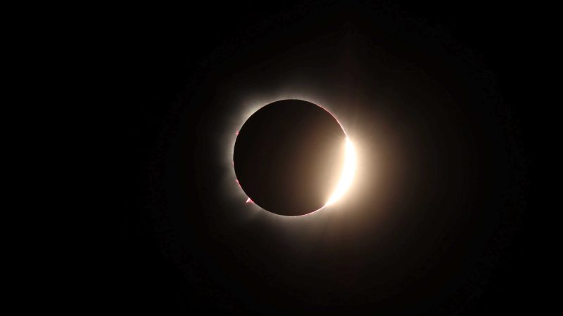 Coral Adventurer Solar Eclipse - Image by Luke Jongens.