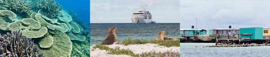 Coral-Expeditions-Cruise-Abrolhos
