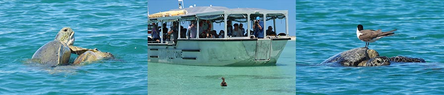 Coral-Expeditions-Cruise-Lacapede-Islands-