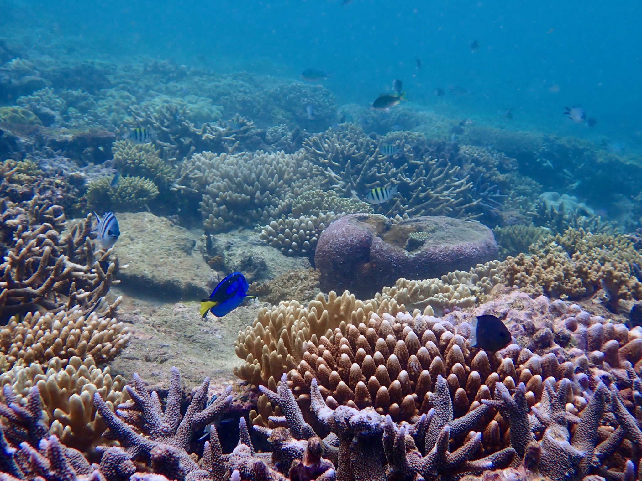 Guest Image Gallery - Your Photos From Your Cruise