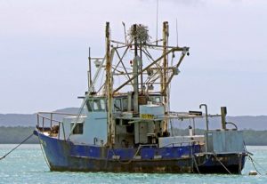 Fishing vessel at Badu Island with Osprey Nest.