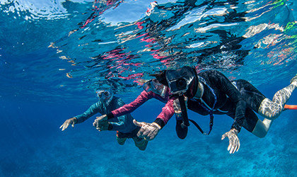 Guests Snorkeling