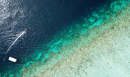 Louisiade-Archepelago-Coral-Expeditions