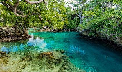 Mako-Espirantu-Santo-blue-holes-Coral-Expeditions