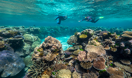 Snorkelling-Great-Barrier-Reef-Coastal-Adventures