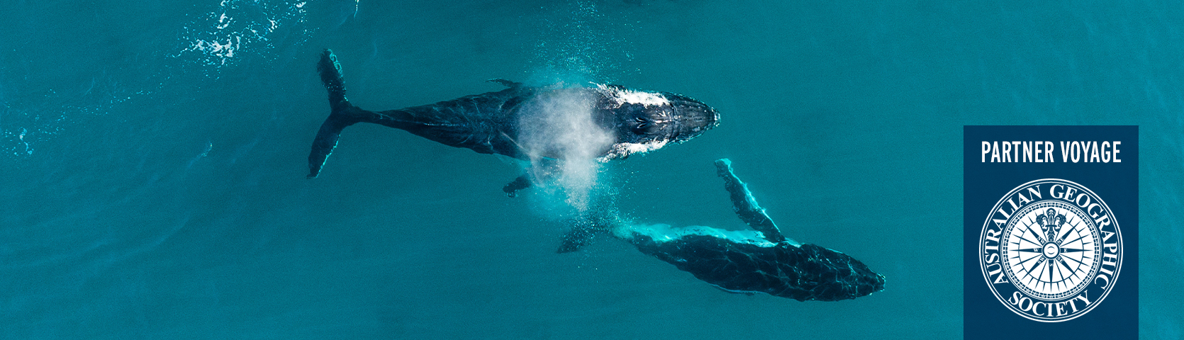 Whales and Trails of Western Australia